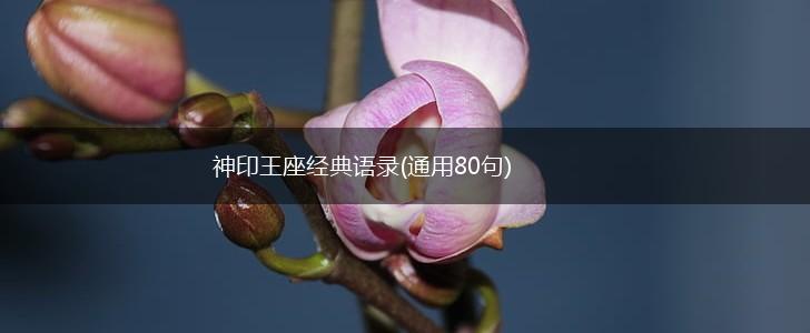 神印王座经典语录(通用80句),第1张