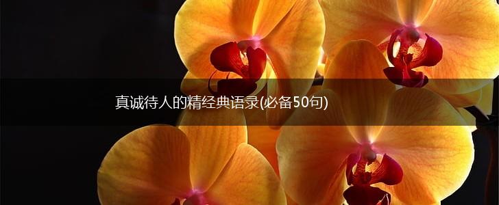 真诚待人的精经典语录(必备50句),第1张