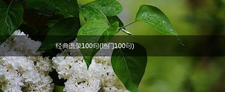 经典语录100句(热门100句),第1张