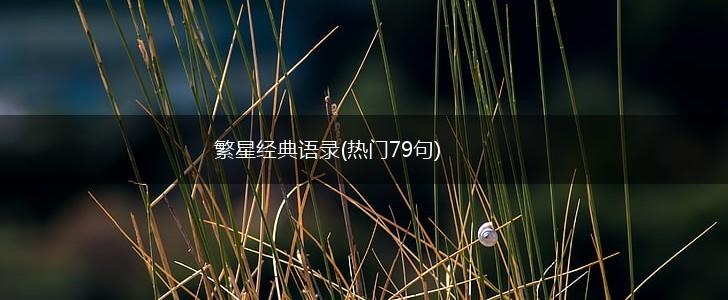 繁星经典语录(热门79句),第1张