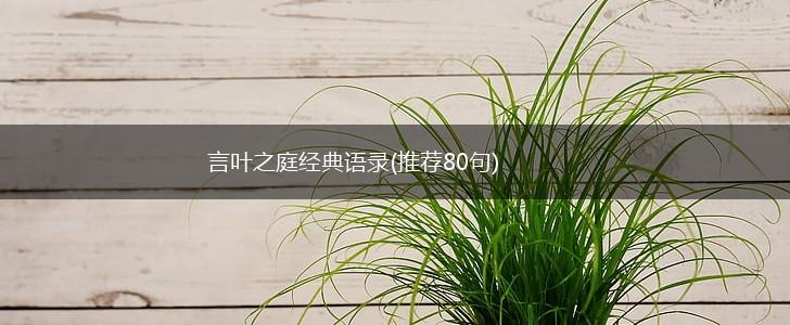 言叶之庭经典语录(推荐80句),第1张