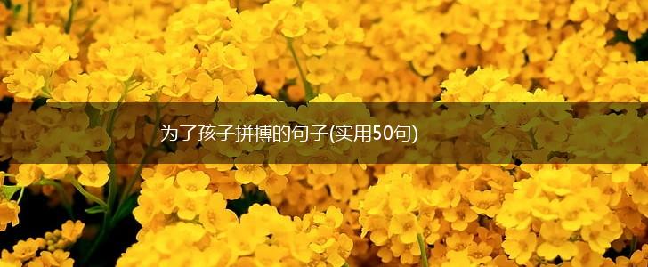 为了孩子拼搏的句子(实用50句),第1张