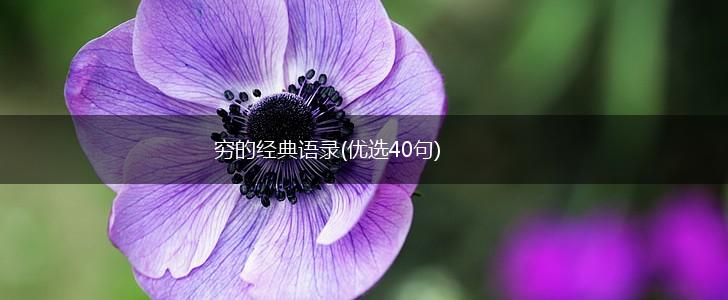 穷的经典语录(优选40句),第1张