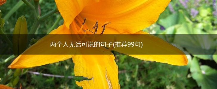 两个人无话可说的句子(推荐99句),第1张