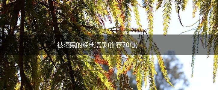 被晒黑的经典语录(推荐70句),第1张