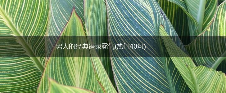 男人的经典语录霸气(热门40句),第1张