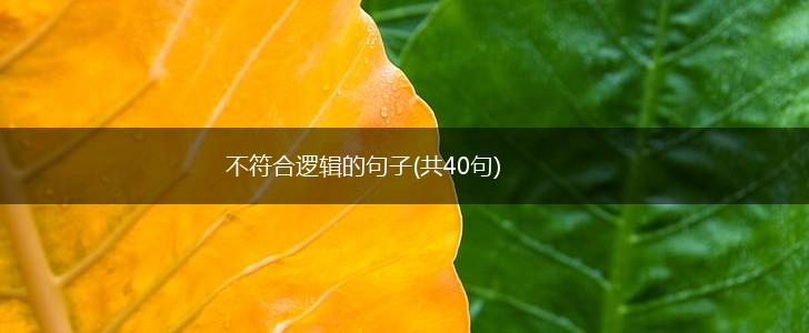 不符合逻辑的句子(共40句),第1张