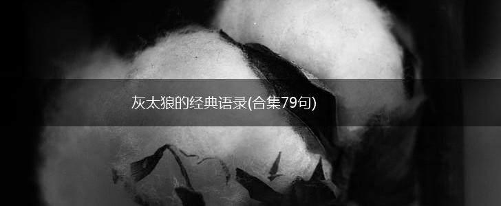 灰太狼的经典语录(合集79句),第1张