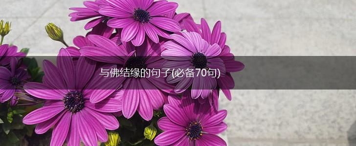 与佛结缘的句子(必备70句),第1张