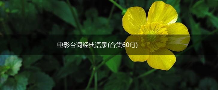 电影台词经典语录(合集60句),第1张