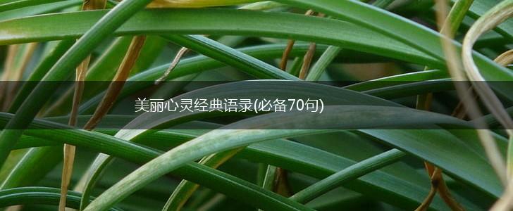 美丽心灵经典语录(必备70句),第1张