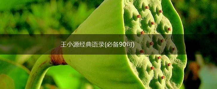 王小源经典语录(必备90句),第1张