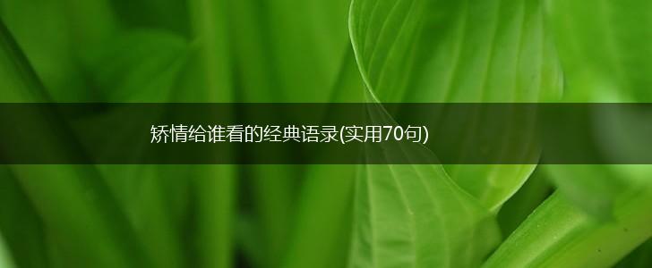 矫情给谁看的经典语录(实用70句),第1张
