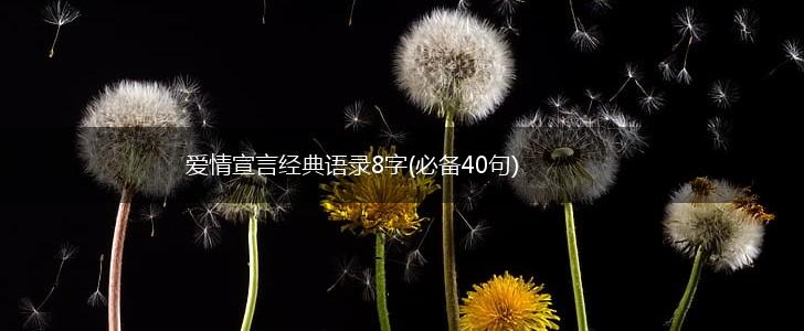 爱情宣言经典语录8字(必备40句),第1张