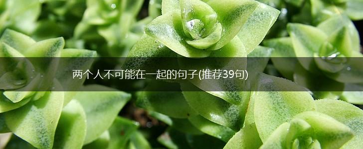 两个人不可能在一起的句子(推荐39句),第1张