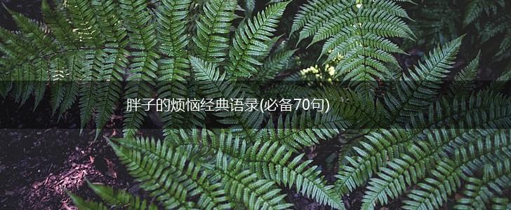 胖子的烦恼经典语录(必备70句),第1张