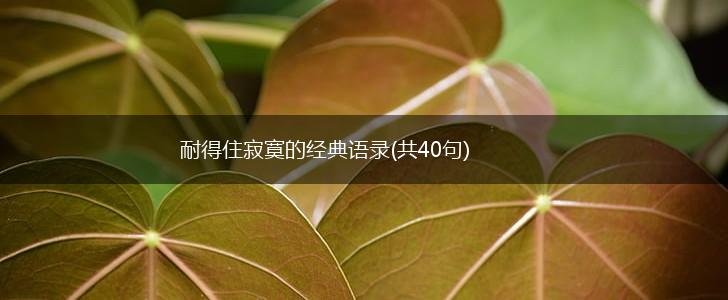 耐得住寂寞的经典语录(共40句),第1张