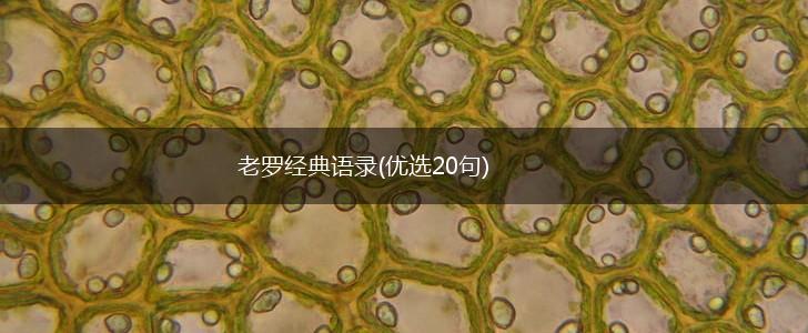 老罗经典语录(优选20句),第1张
