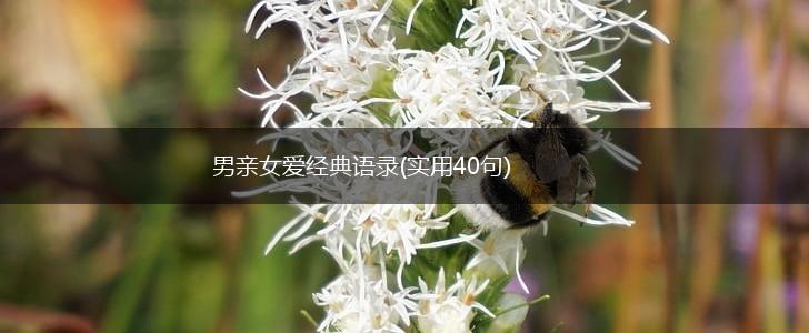 男亲女爱经典语录(实用40句),第1张