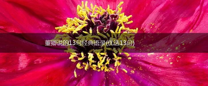 董卿说的13句经典语录(优选13句),第1张