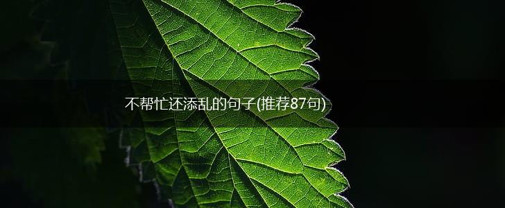 不帮忙还添乱的句子(推荐87句),第1张