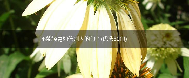 不能轻易相信别人的句子(优选80句),第1张