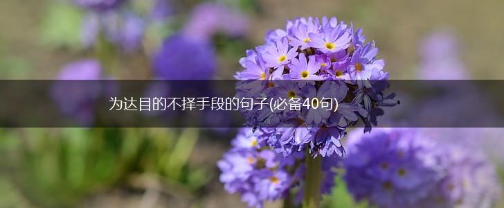 为达目的不择手段的句子(必备40句),第1张