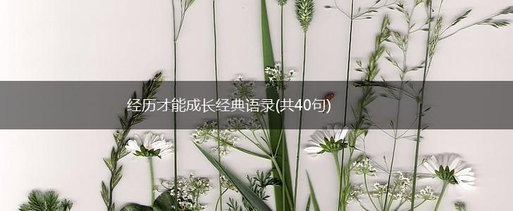 经历才能成长经典语录(共40句),第1张