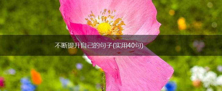 不断提升自己的句子(实用40句),第1张
