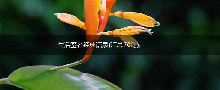 生活签名经典语录(汇总70句),第1张