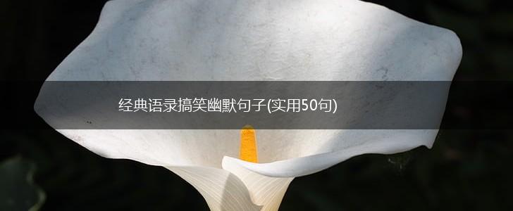 经典语录搞笑幽默句子(实用50句),第1张