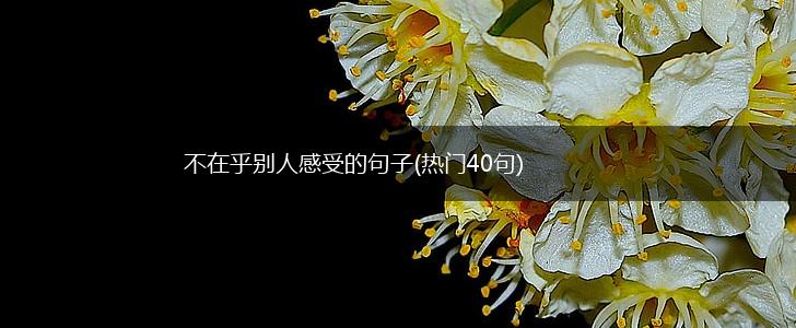 不在乎别人感受的句子(热门40句),第1张