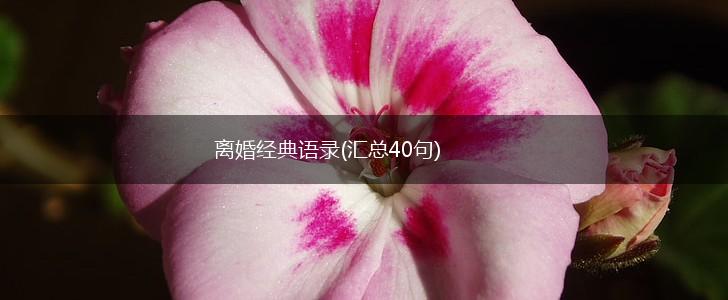 离婚经典语录(汇总40句),第1张