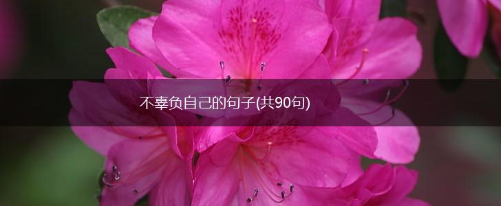 不辜负自己的句子(共90句),第1张