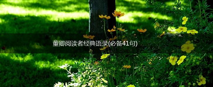 董卿阅读者经典语录(必备41句),第1张