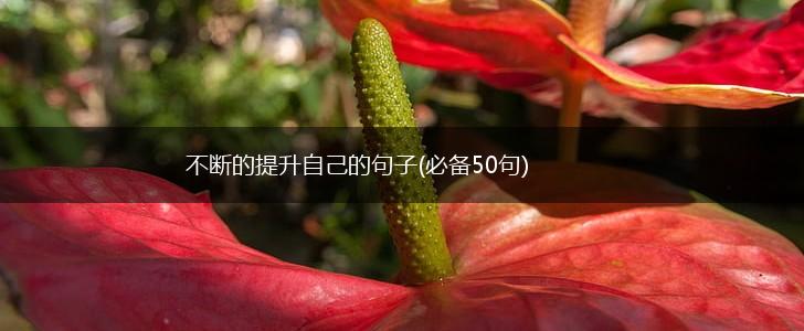不断的提升自己的句子(必备50句),第1张