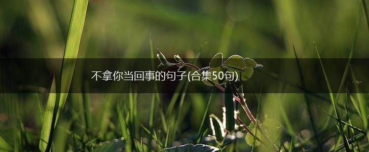 不拿你当回事的句子(合集50句),第1张