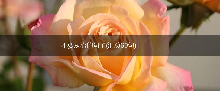 不要灰心的句子(汇总60句),第1张