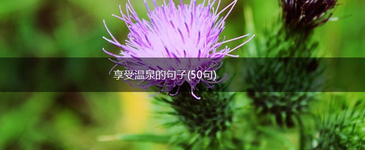 享受温泉的句子(50句),第1张