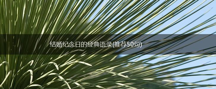 结婚纪念日的经典语录(推荐50句),第1张