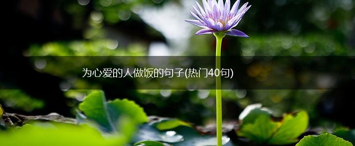 为心爱的人做饭的句子(热门40句),第1张