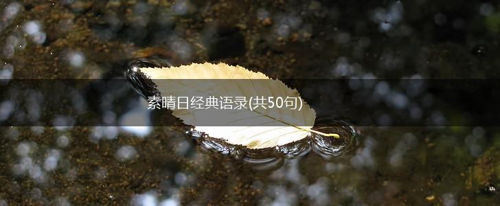 素晴日经典语录(共50句),第1张