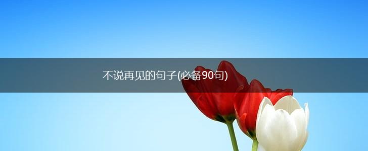 不说再见的句子(必备90句),第1张