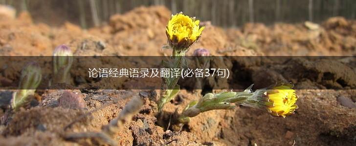 论语经典语录及翻译(必备37句),第1张