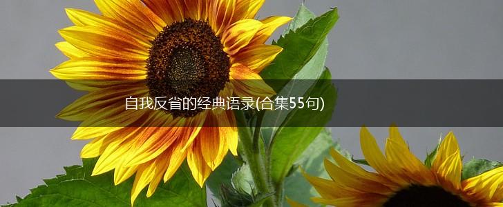 自我反省的经典语录(合集55句),第1张