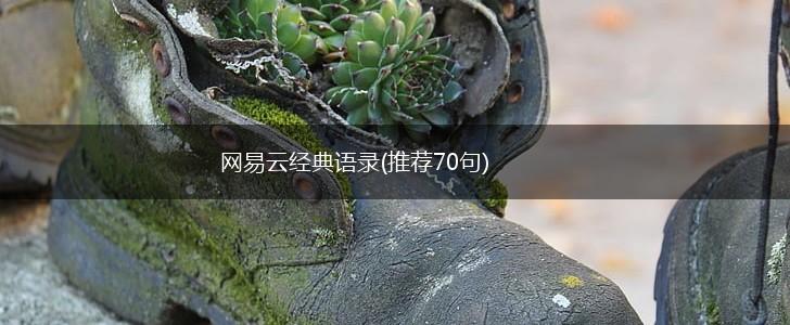 网易云经典语录(推荐70句),第1张