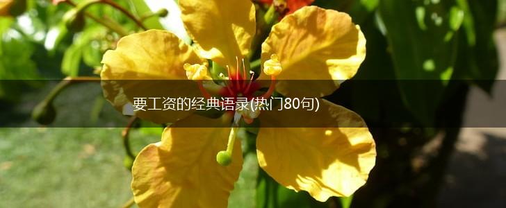 要工资的经典语录(热门80句),第1张