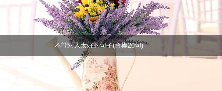 不能对人太好的句子(合集20句),第1张