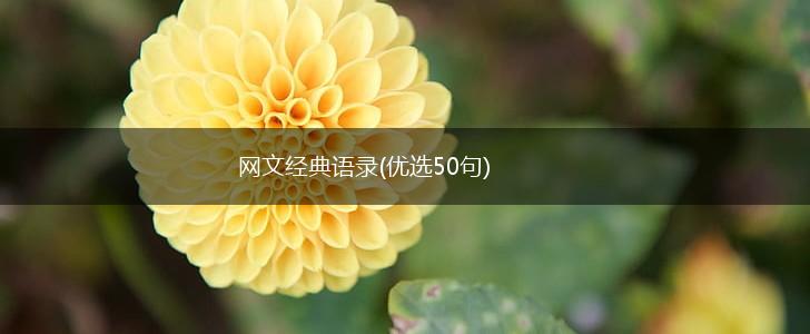 网文经典语录(优选50句),第1张