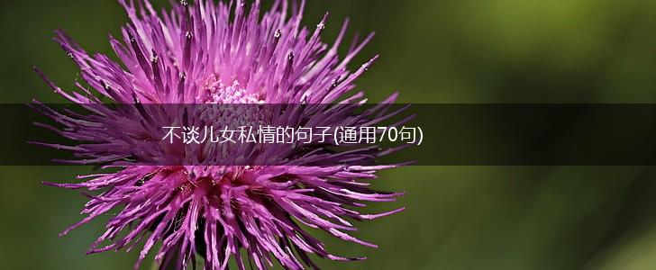 不谈儿女私情的句子(通用70句),第1张
